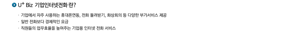 기업용인터넷전화란?