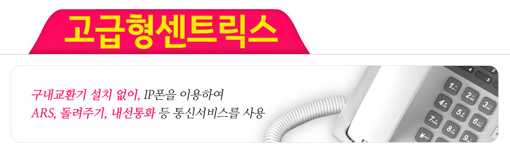 기업인터넷전화 고급형센트릭스 타이틀