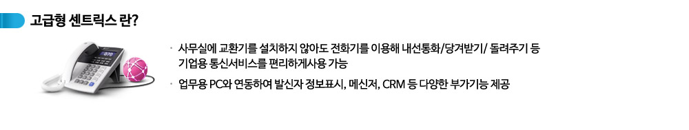 기업인터넷전화 고급형센트릭스 정의