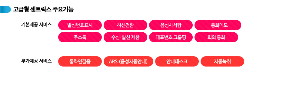 기업인터넷전화 고급형센트릭스 주요기능