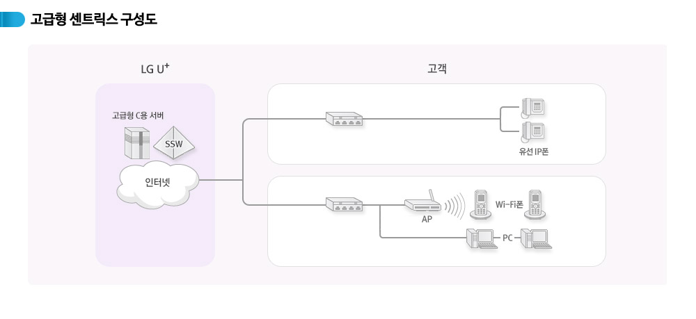 기업인터넷전화 고급형센트릭스 구성도