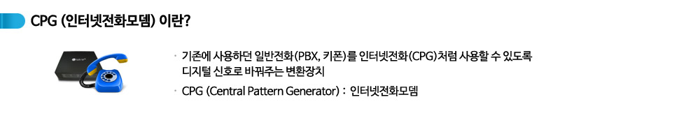 기업인터넷전화 CPG 정의