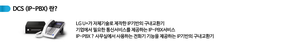 기업인터넷전화 DCS 정의