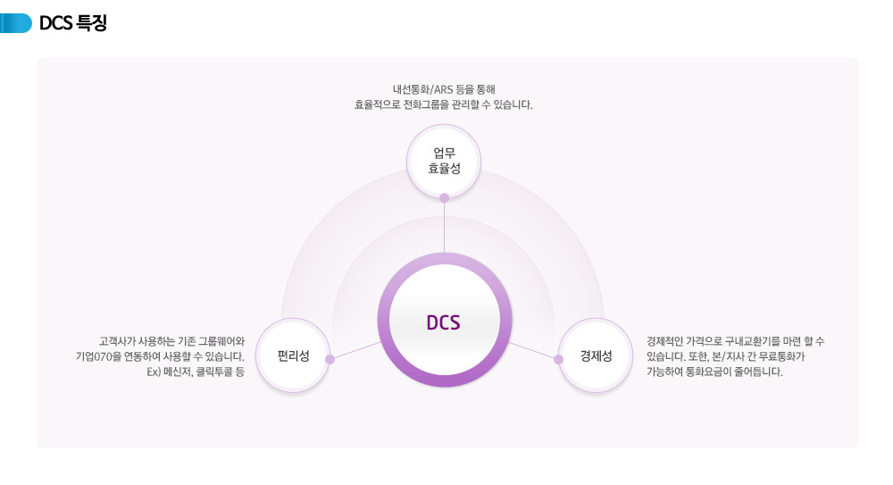 기업인터넷전화 DCS 특징