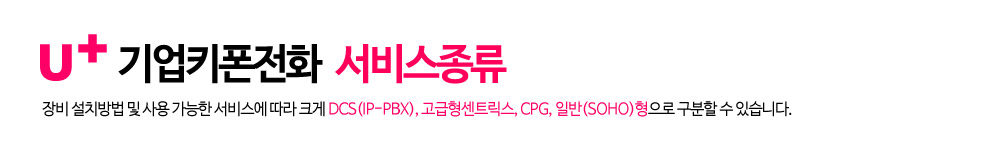 기업용인터넷전화 서비스종류