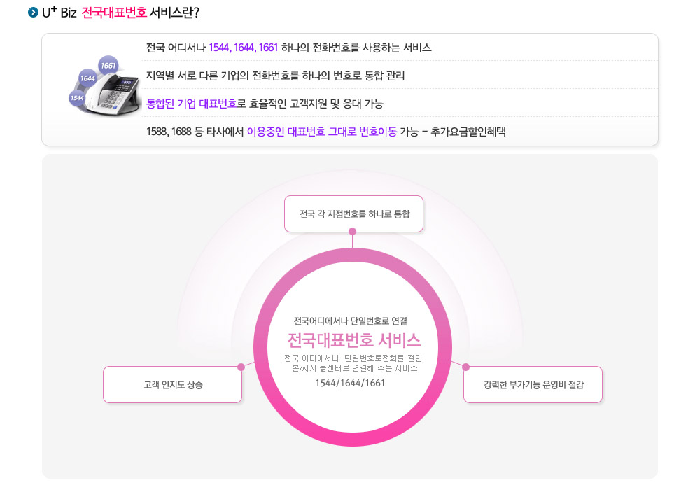 U+ BIZ 전국대표번호 서비스란?